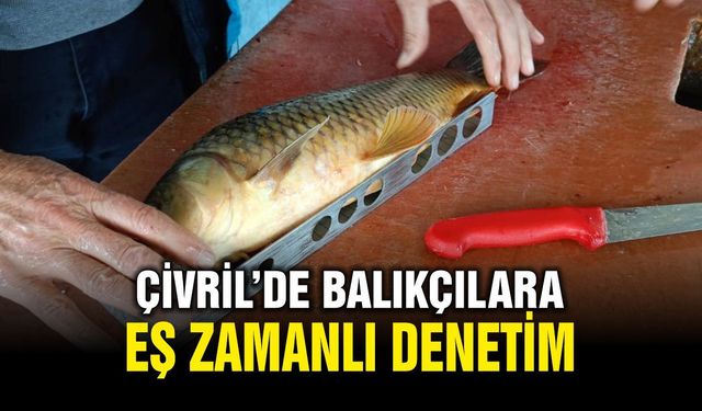 Çivril’de Su Ürünleri Satış Noktalarına Eş Zamanlı Denetim