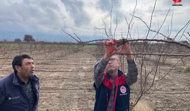 Çivril’de Çiftçilere Uygulamalı Budama Eğitimi