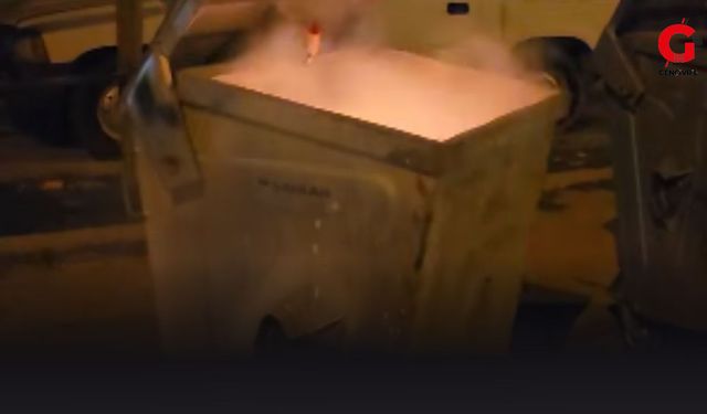 Söndürülmeden Atılan Küller Çöp Konteynerini Yaktı