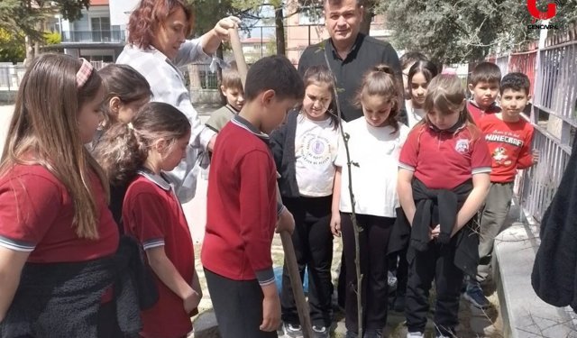Miniklerden Büyük Duyarlılık Okul Bahçesine Fidan Diktiler