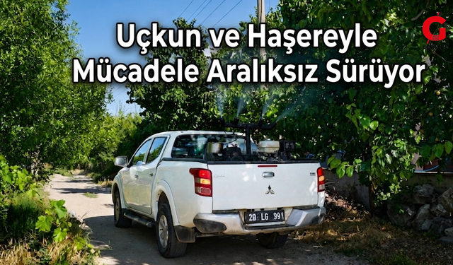 Çivril'de Uçkun ve Haşere Mücadelesi Aralıksız Devam Ediyor