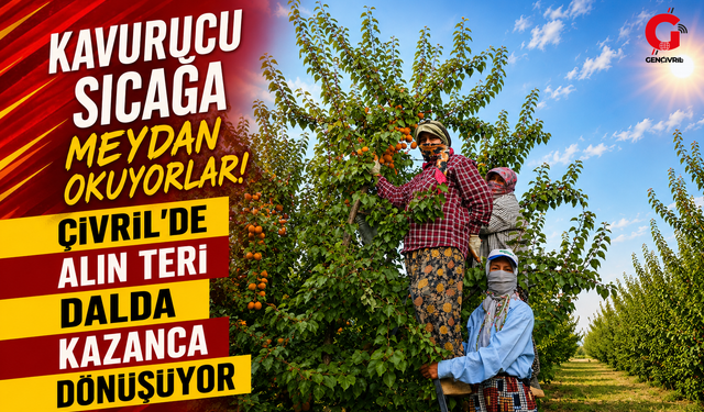 Kavurucu sıcağa meydan okuyorlar! Çivril'de alın teri dalda kazanca dönüşüyor