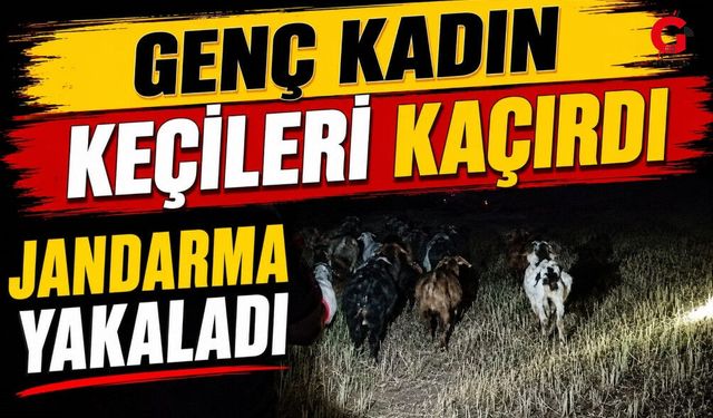 Derede Kaybolan Keçiler Jandarmanın Desteğiyle Bulundu