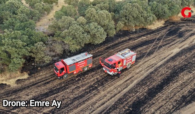 Gürpınar’daki Yangında 100 Dönüm Alan Zarar Gördü
