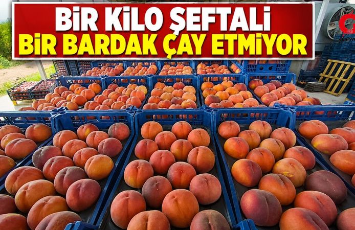 Çivril'de Şeftali Fiyatı Bir Günde Yarıya Düştü