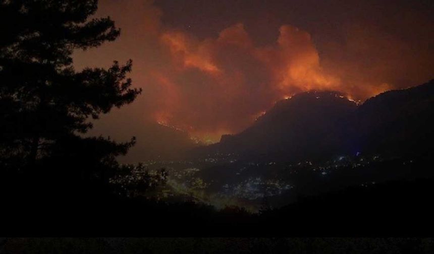 Muğla’da Yangından Kurtulan Ormanlık Alan Satışa Çıktı