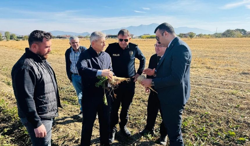 Çivril'de Pancar Sökümü Yapan Çiftçileri Ziyaret Eden Kaymakam Hasada Katıldı