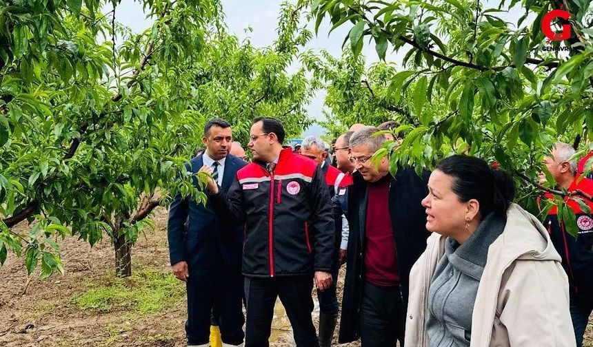 Bakan yardımcısı Gizligider "Devlet Çiftçinin Yanında"