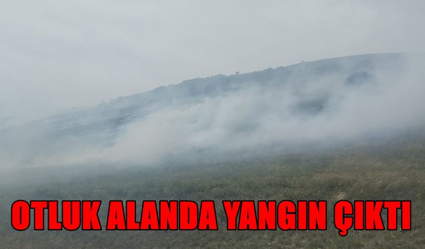 Irgıllı’da Otluk Alanda Yangın Çıktı