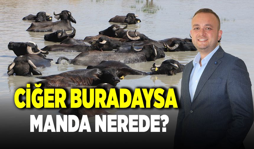 Semih Dere ; "Yolsuzluklarla İlgili Adli Makamlara Gideceğiz"