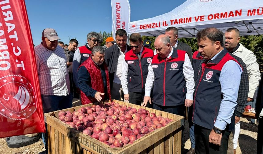 Vali Coşkun Çivril’de Elma Hasadına Katıldı