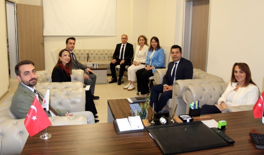 İl Sağlık Müdürü Çivril’de İncelemelerde Bulundu