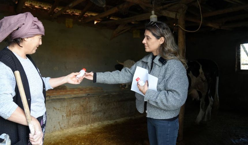 Şap’la Mücadelede Belediye En Ön Safta Yer Aldı