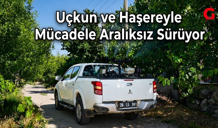 Çivril'de Uçkun ve Haşere Mücadelesi Aralıksız Devam Ediyor