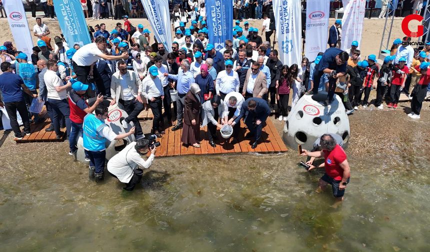 Yaşamın İzinde projesinde 2. etap: Özel teknolojiyle üretilen 100 resif bloğu su altında