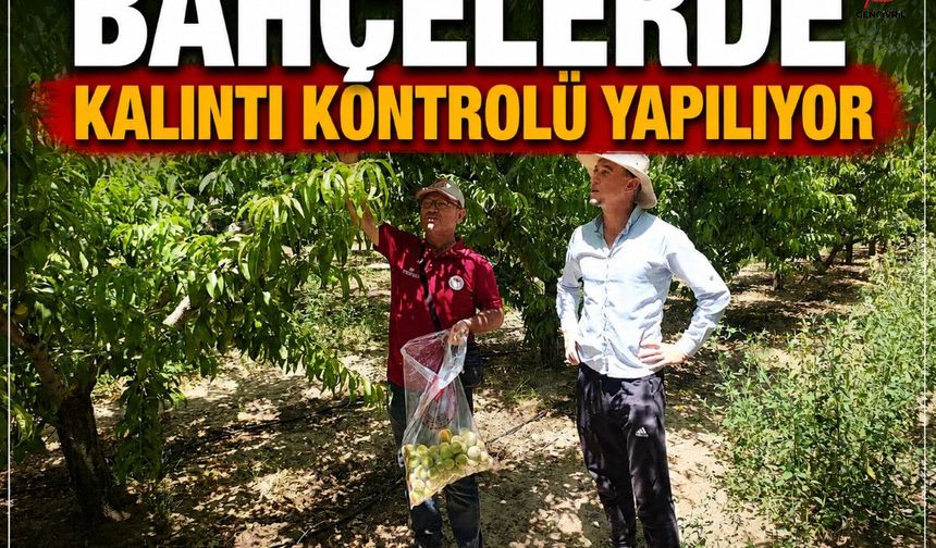 Çivril'de Hasat Öncesi Pestisit Denetimleri Sıklaştı