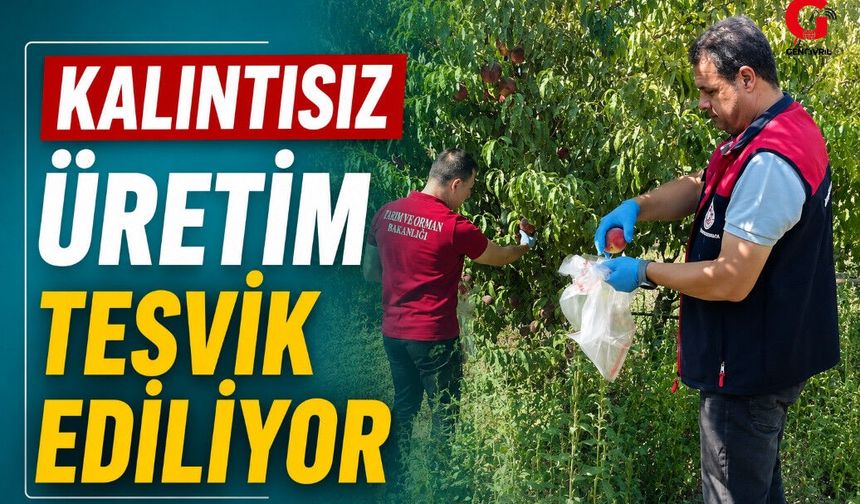 Çivril’de Şeftali Hasadıyla Birlikte Pestisit Denetimleri Arttırıldı