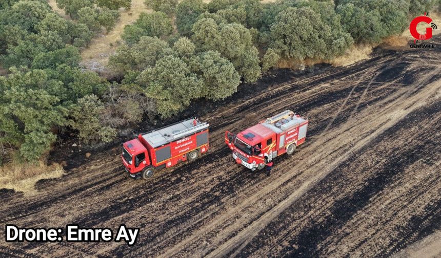 Gürpınar’daki Yangında 100 Dönüm Alan Zarar Gördü