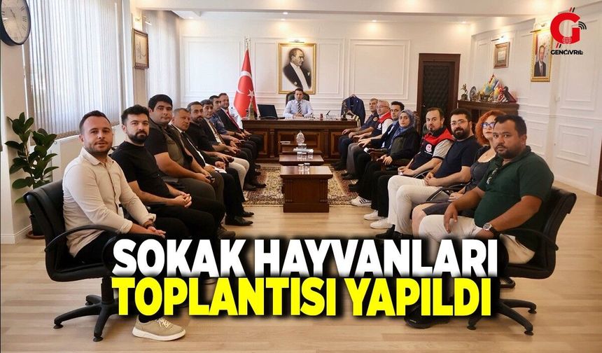 Çivril’de Sahipsiz Sokak Hayvanları Toplantısı Yapıldı