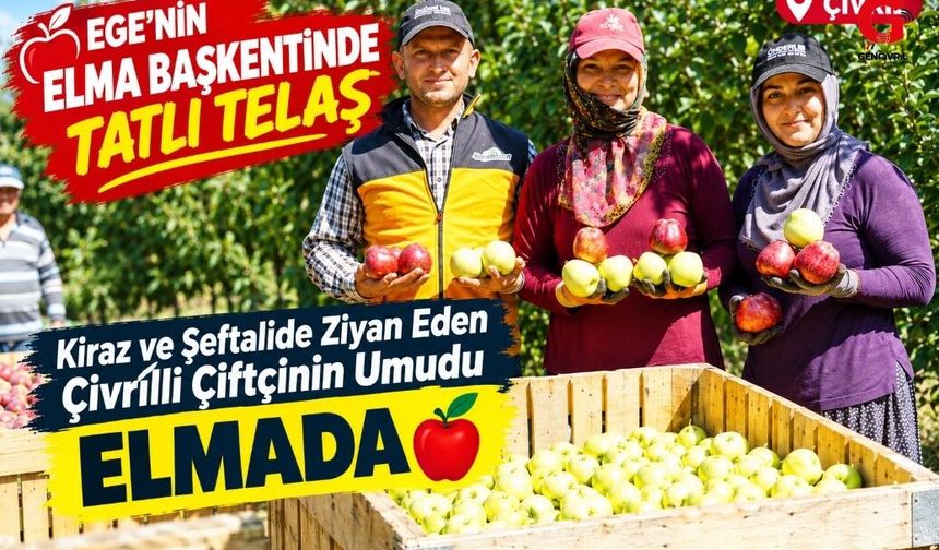Çivril'de Elma Hasadı Başladı Çiftçinin Umudu Bu Yıl Elmada