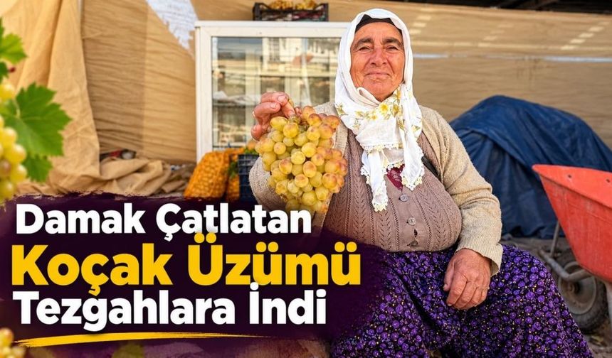 Çivril’in Meşhur Koçak Üzümü Tezgâhta