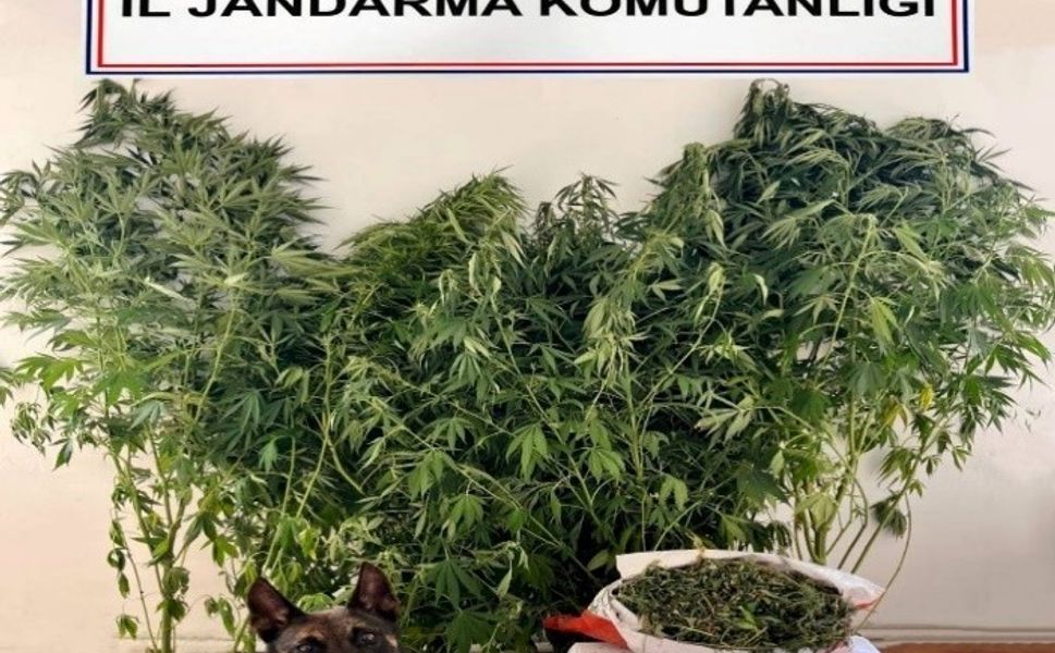 Çivril'de Jandarmadan Narkotik Operasyon