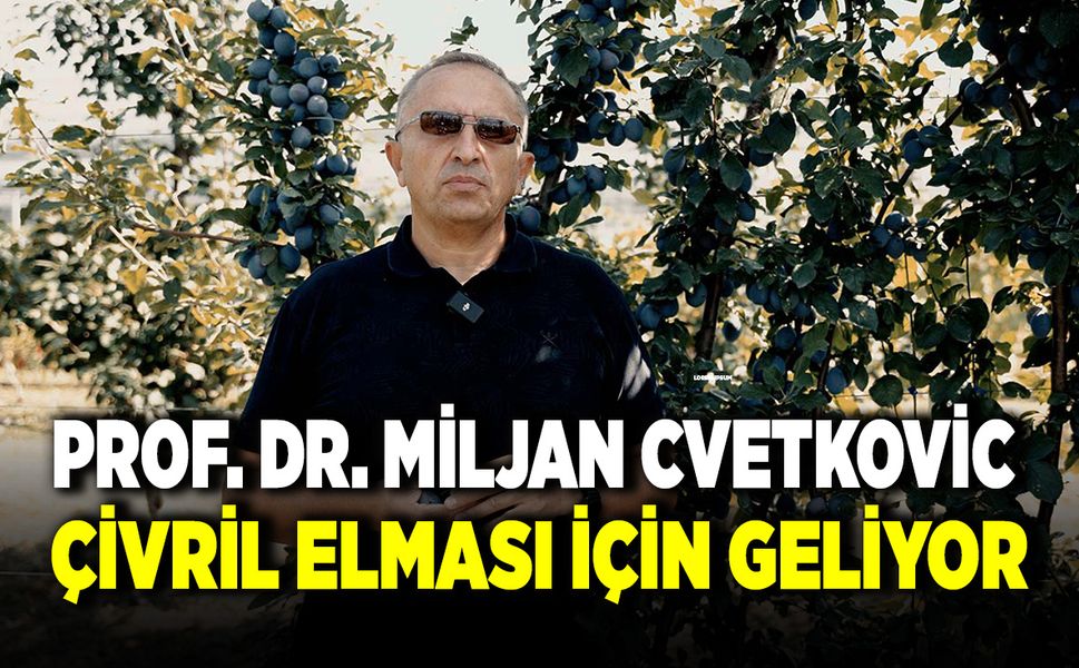 Çivril Belediyesinden Elma Yetiştiriciliğine Uluslararası Destek