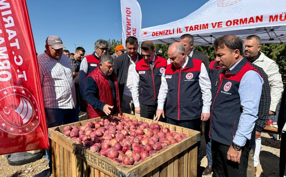 Vali Coşkun Çivril’de Elma Hasadına Katıldı