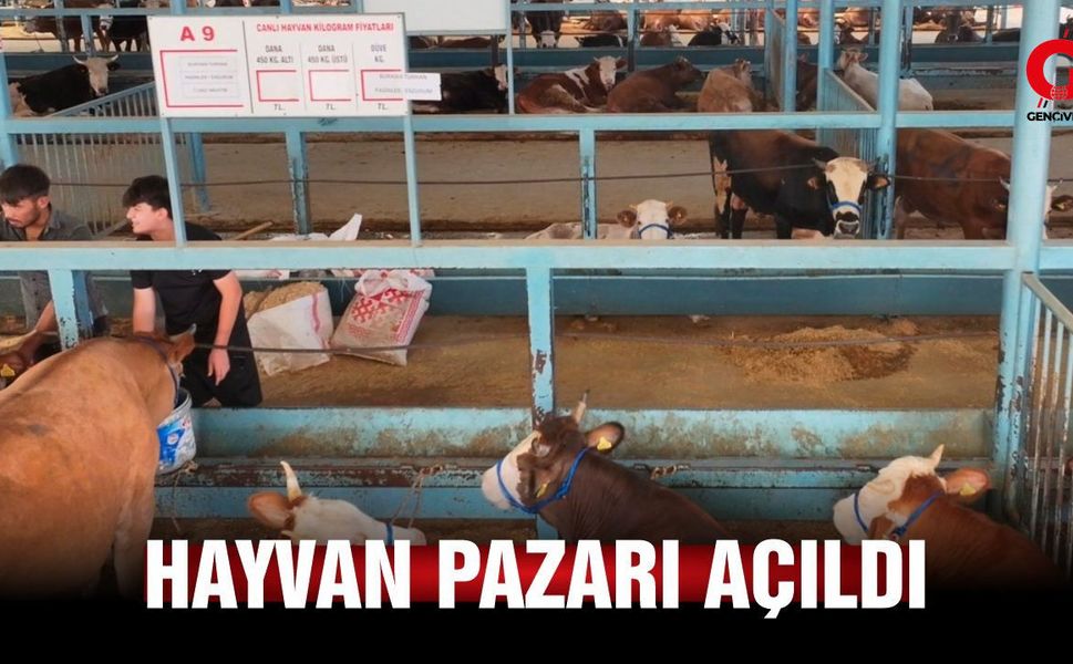Çivril’de Hayvan Pazarı Yeniden Açıldı