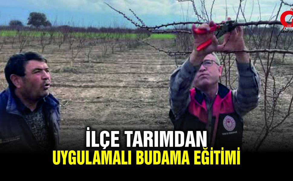 Çivril’de Çiftçilere Uygulamalı Budama Eğitimi