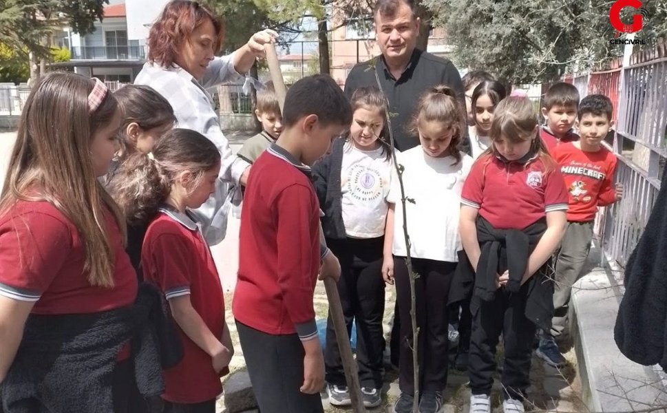 Miniklerden Büyük Duyarlılık Okul Bahçesine Fidan Diktiler