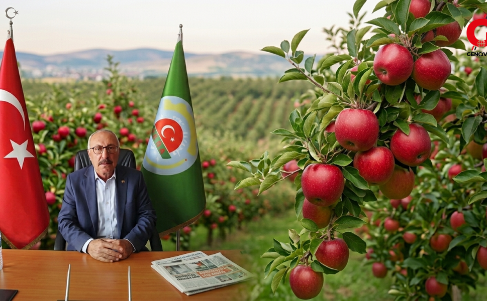 Çivril'de Depoda Elma Kalmadı Üretilen Elma Satıldı