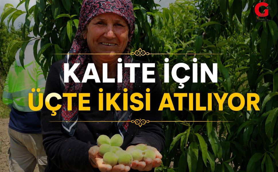 Çivril’de Şeftali Üreticisinin Zorlu Mesaisi Başladı