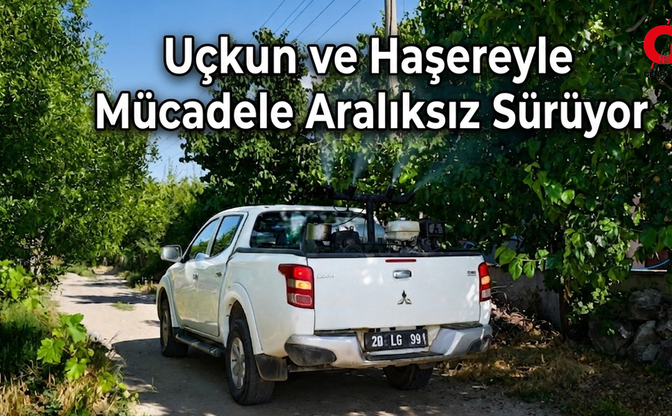 Çivril'de Uçkun ve Haşere Mücadelesi Aralıksız Devam Ediyor