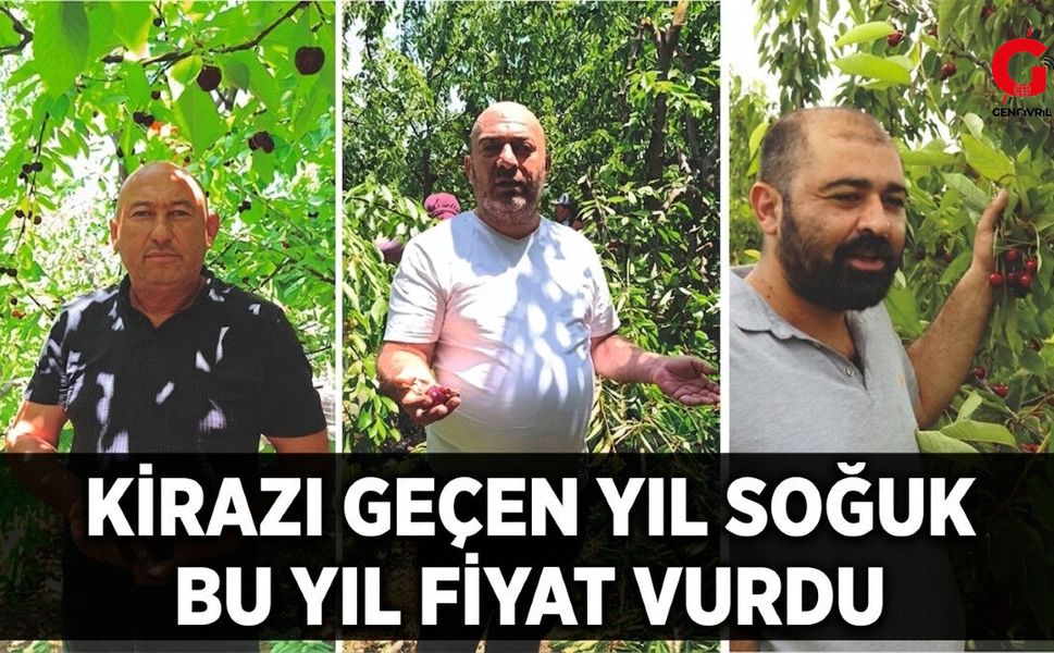 Kirazı Geçen Yıl Soğuk, Bu Yıl Fiyat Vurdu