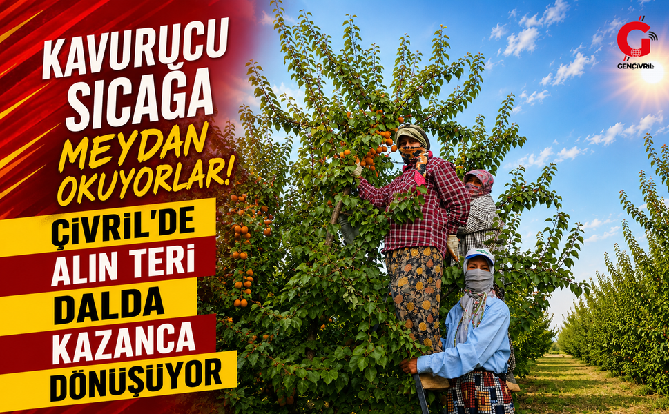 Kavurucu sıcağa meydan okuyorlar! Çivril'de alın teri dalda kazanca dönüşüyor