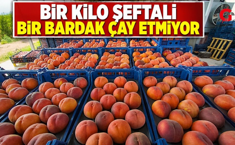 Çivril'de Şeftali Fiyatı Bir Günde Yarıya Düştü