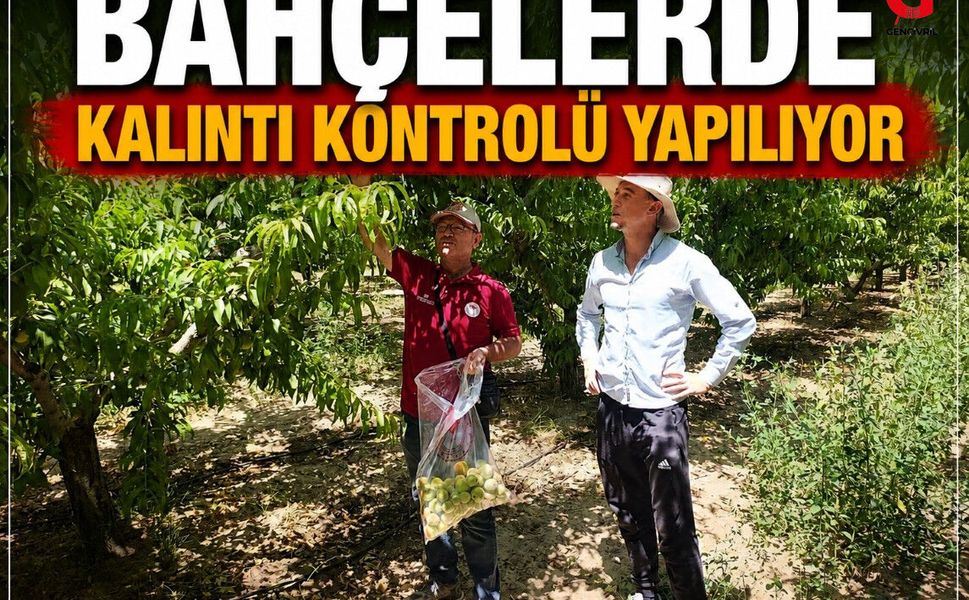 Çivril'de Hasat Öncesi Pestisit Denetimleri Sıklaştı