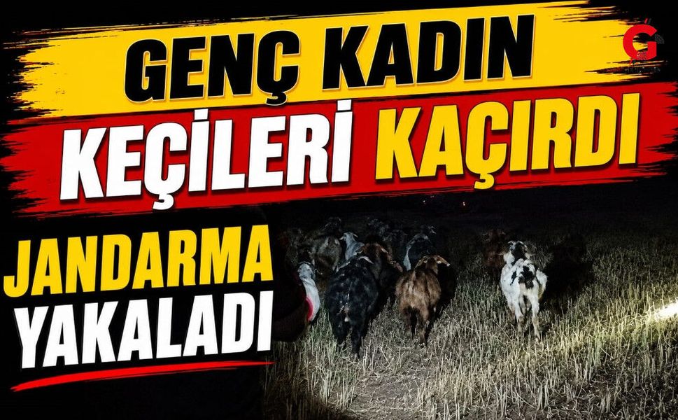 Derede Kaybolan Keçiler Jandarmanın Desteğiyle Bulundu