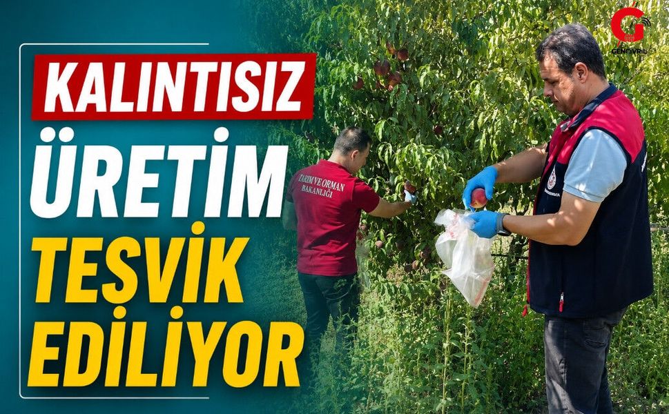 Çivril’de Şeftali Hasadıyla Birlikte Pestisit Denetimleri Arttırıldı