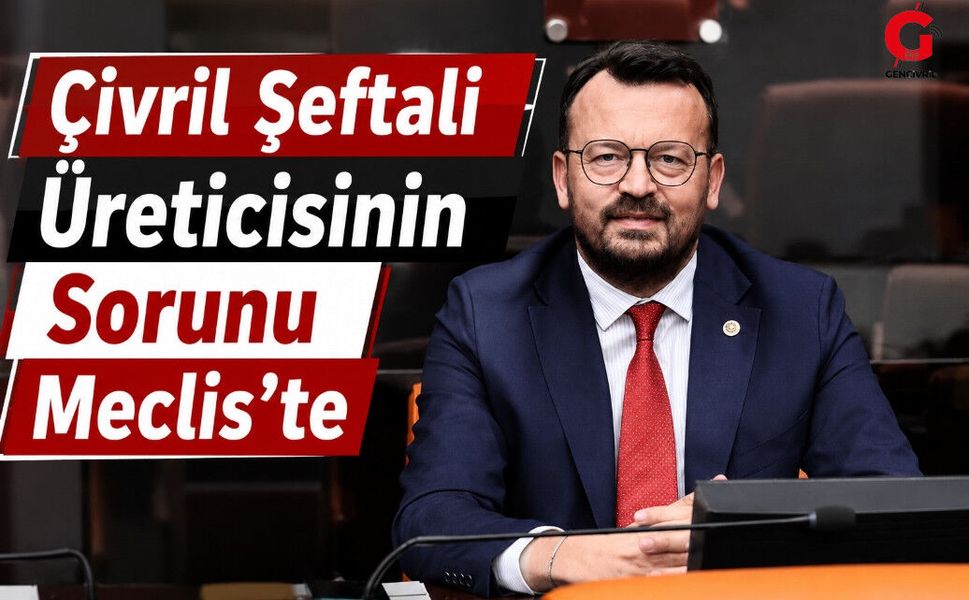 Yeni Parti Milletvekili Arpacı Çivrilin Sesi Oldu