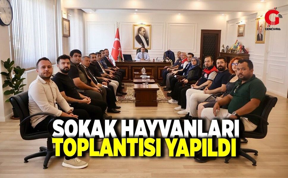 Çivril’de Sahipsiz Sokak Hayvanları Toplantısı Yapıldı