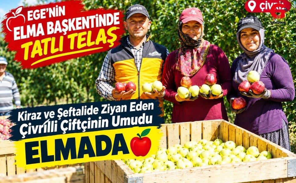 Çivril'de Elma Hasadı Başladı Çiftçinin Umudu Bu Yıl Elmada