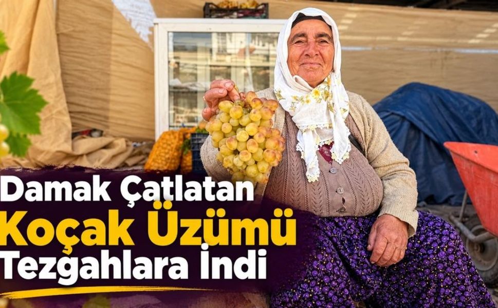 Çivril’in Meşhur Koçak Üzümü Tezgâhta