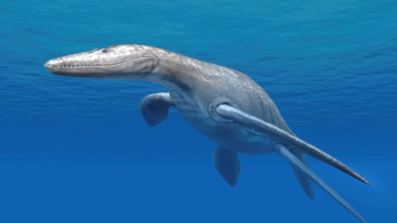 150 Milyon Yıllık Fosil Bulundu