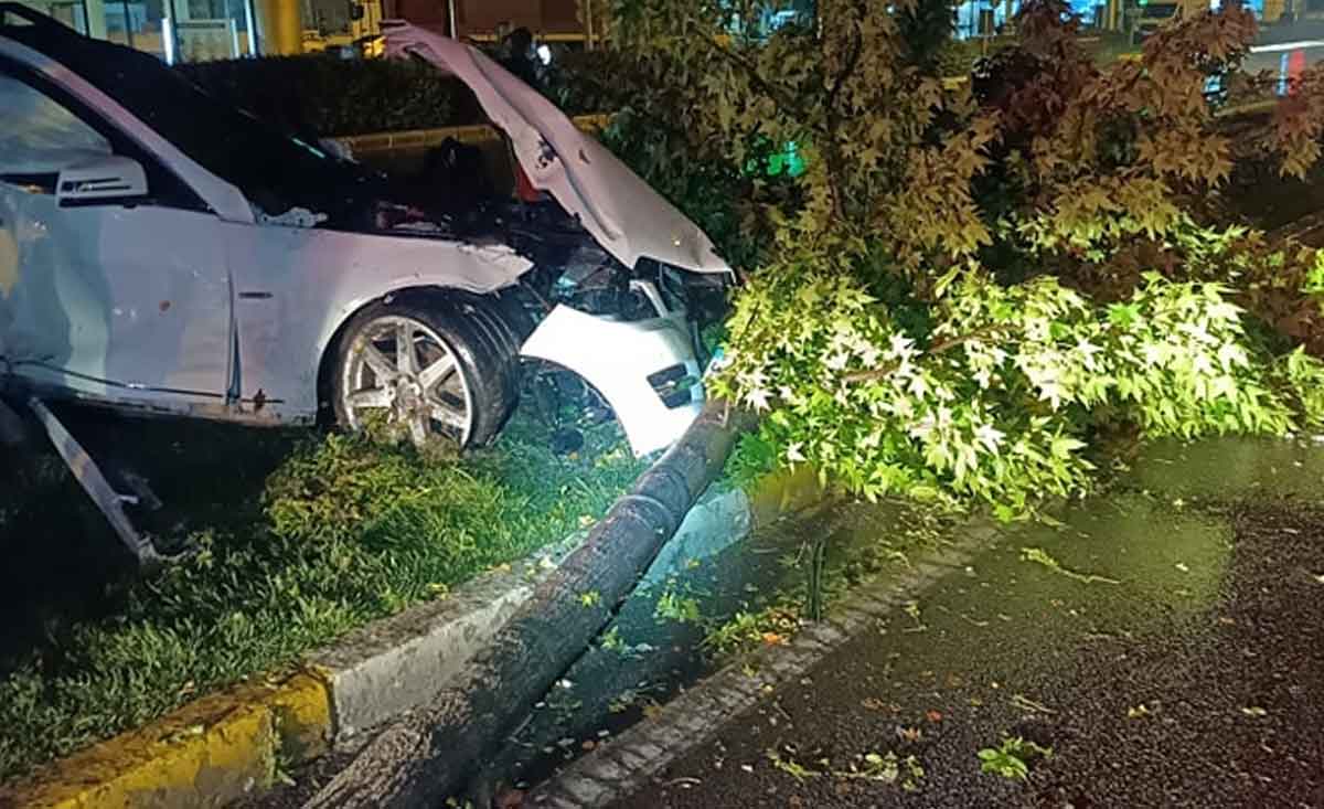 Denizlide Yoldan Cikan Arac Agaci Sokerek Anca Durabildi1