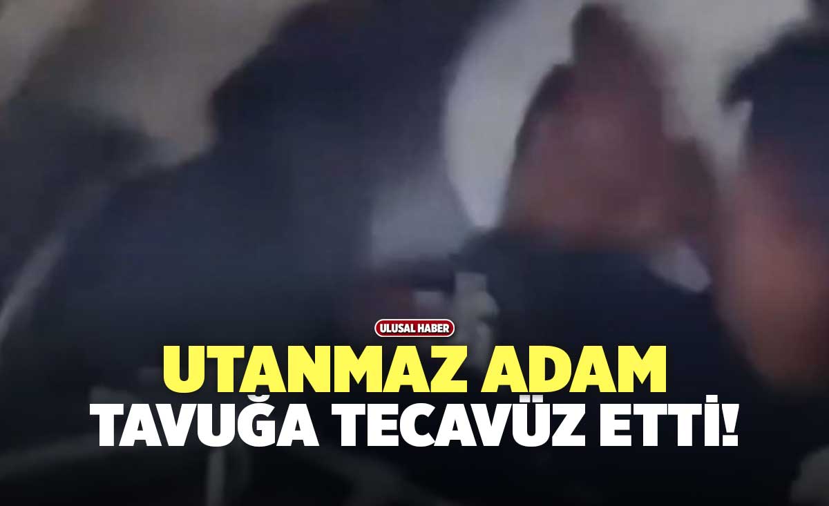 Utanmaz Adam Tavuğa Tecavüz Etti! - Denizli Haber - genccivrilgazetesi.com  » Güncel Denizli Son Dakika Haberleri