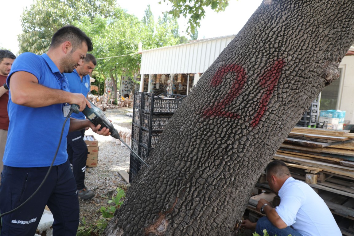 Ege Bolgesinde Ilk Kez Goruldu Ekipler Alarma Gecti2