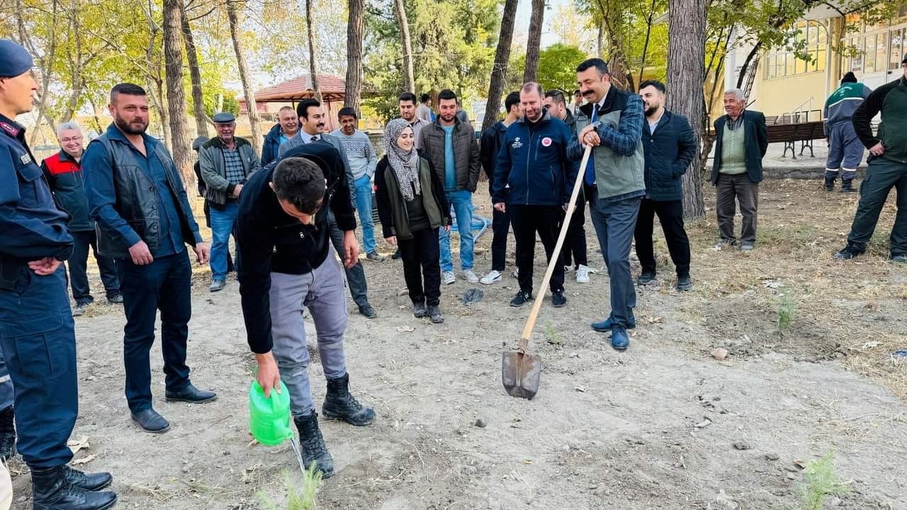 Çivril Ağaçlandırma Projesi