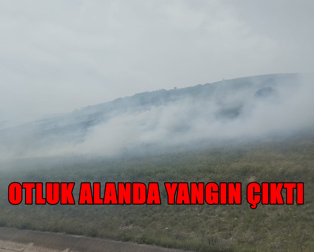 Irgıllı’da Otluk Alanda Yangın Çıktı